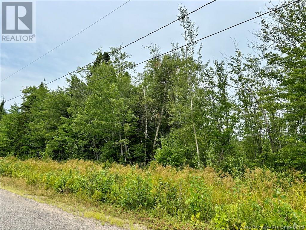 25.2 Acres Rte 445, Fairisle, New Brunswick  E9G 3C1 - Photo 2 - NB104160