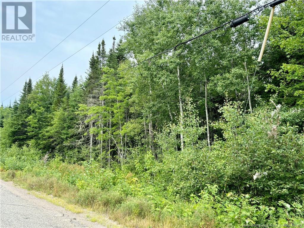 25.2 Acres Rte 445, Fairisle, New Brunswick  E9G 3C1 - Photo 4 - NB104160