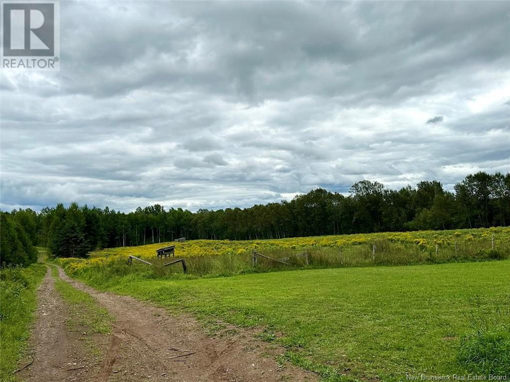 - Sisson Ridge Road, Sisson Ridge, New Brunswick  E7G 3X1 - Photo 3 - NB104198