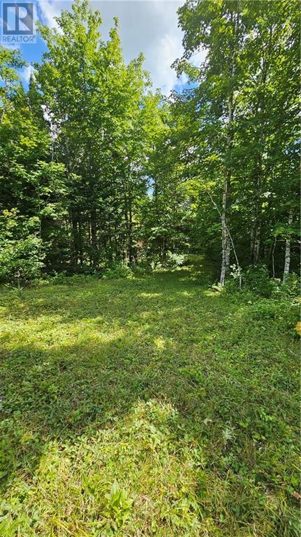 Camp Spring Road/collier Mountain Road, Teahans Corner, New Brunswick  E4Z 1R6 - Photo 4 - M161594