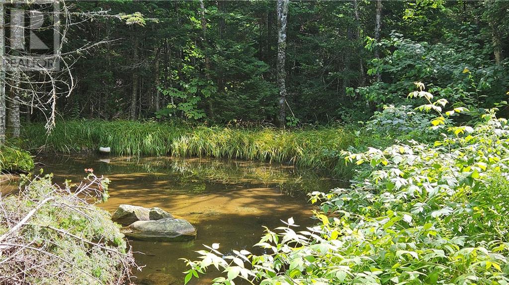 Camp Spring Road/collier Mountain Road, Teahans Corner, New Brunswick  E4Z 1R6 - Photo 6 - M161594