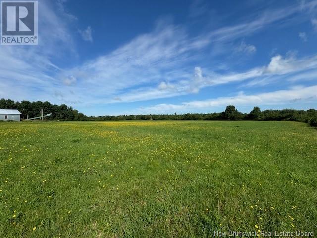 370 Cherryvale Road, Canaan Forks, New Brunswick  E4Z 5X3 - Photo 32 - M161622