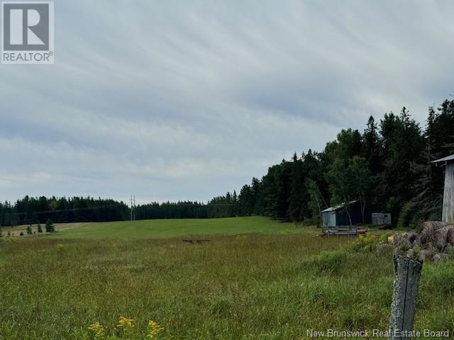 370 Cherryvale Road, Canaan Forks, New Brunswick  E4Z 5X3 - Photo 39 - M161622