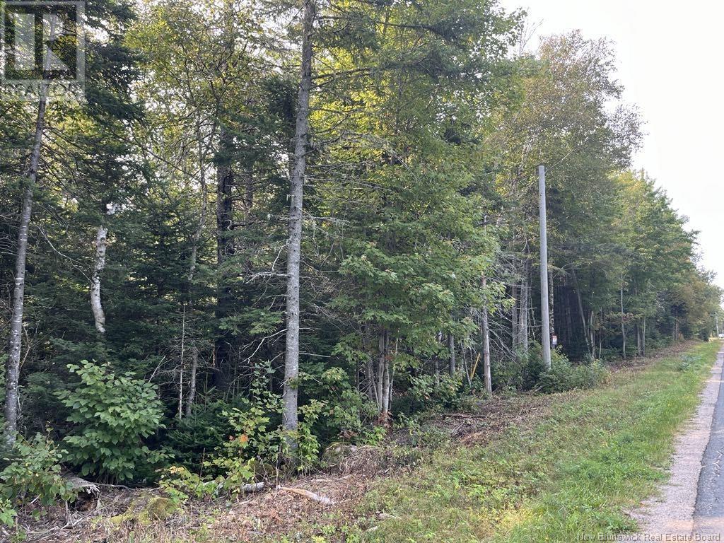 54.5 Acres Mckinnon Road, Miramichi, New Brunswick  E1V 6G1 - Photo 3 - NB104263