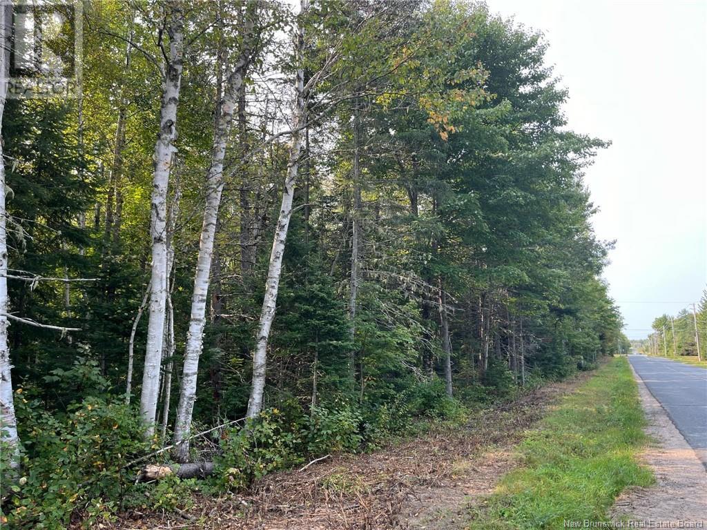 54.5 Acres Mckinnon Road, Miramichi, New Brunswick  E1V 6G1 - Photo 4 - NB104263