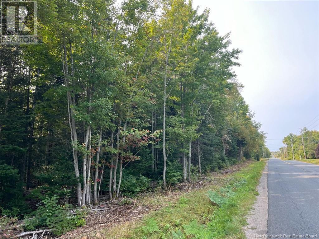 54.5 Acres Mckinnon Road, Miramichi, New Brunswick  E1V 6G1 - Photo 5 - NB104263