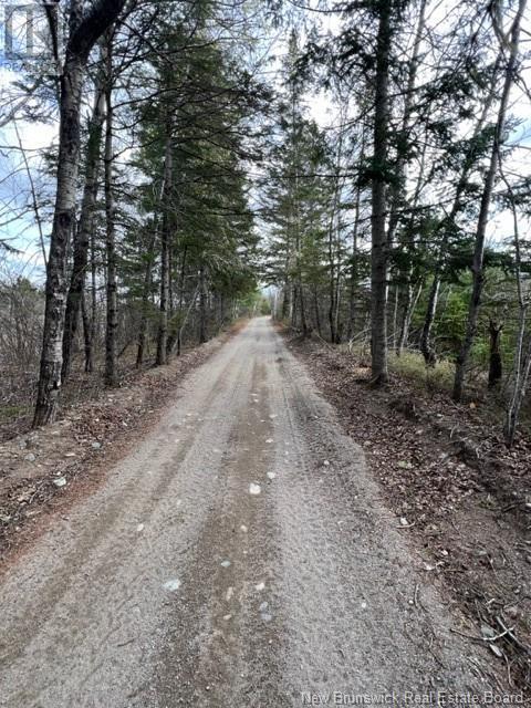 Commercial Lot Route 8, Boiestown, New Brunswick  E6A 1Z7 - Photo 17 - NB104294