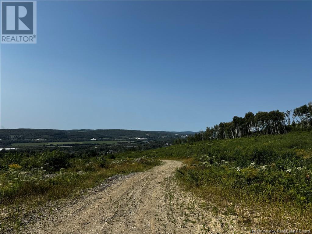 0 Autoroute 2 Route, Saint-Basile, New Brunswick  E7C 1X7 - Photo 3 - NB104296