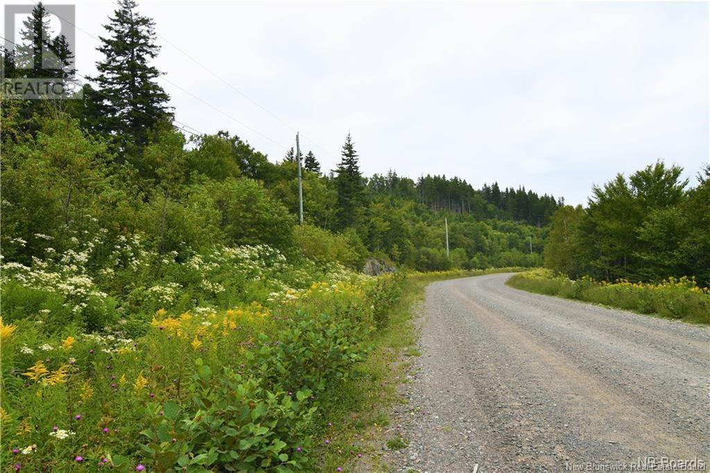 Lot 86-104 Fundy Drive, Wilsons Beach, New Brunswick  E5E 1X2 - Photo 5 - NB104313