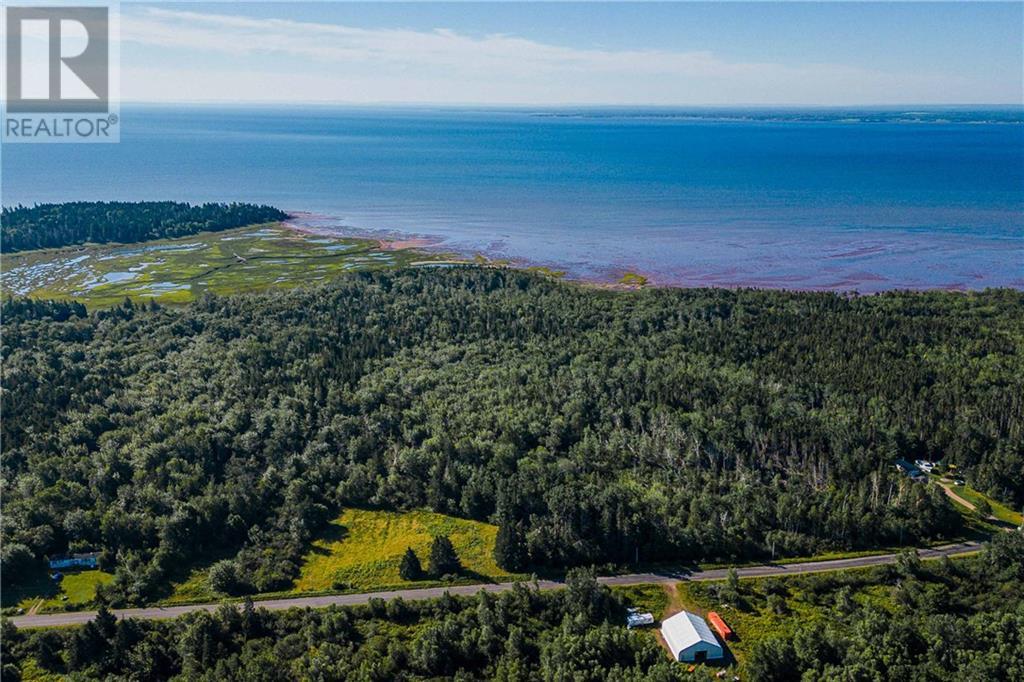 Lot Route 960, Upper Cape, New Brunswick  E4M 2S9 - Photo 2 - M161667