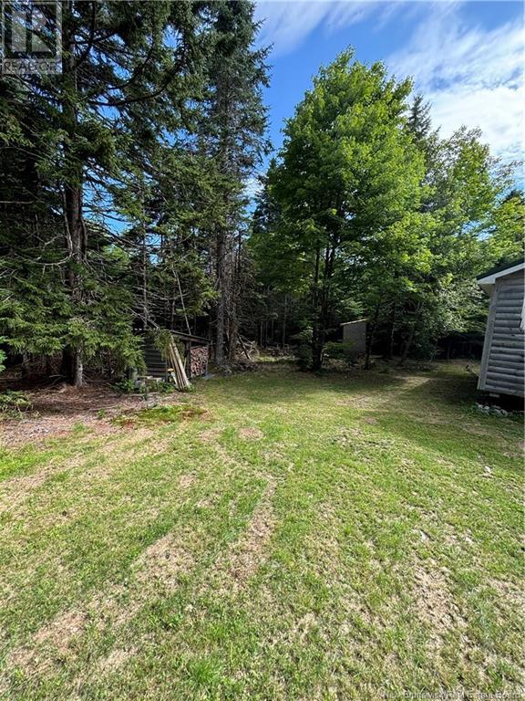 - Wilkins-Proctor Road, Lisson Settlement, New Brunswick  E4E 4A5 - Photo 14 - NB104334