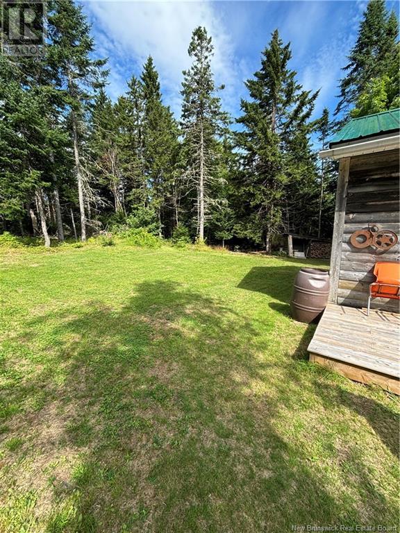 - Wilkins-Proctor Road, Lisson Settlement, New Brunswick  E4E 4A5 - Photo 8 - NB104334