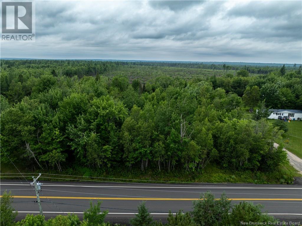 Lot Route 10, Hardwood Ridge, New Brunswick  E4A 1B1 - Photo 5 - NB103546