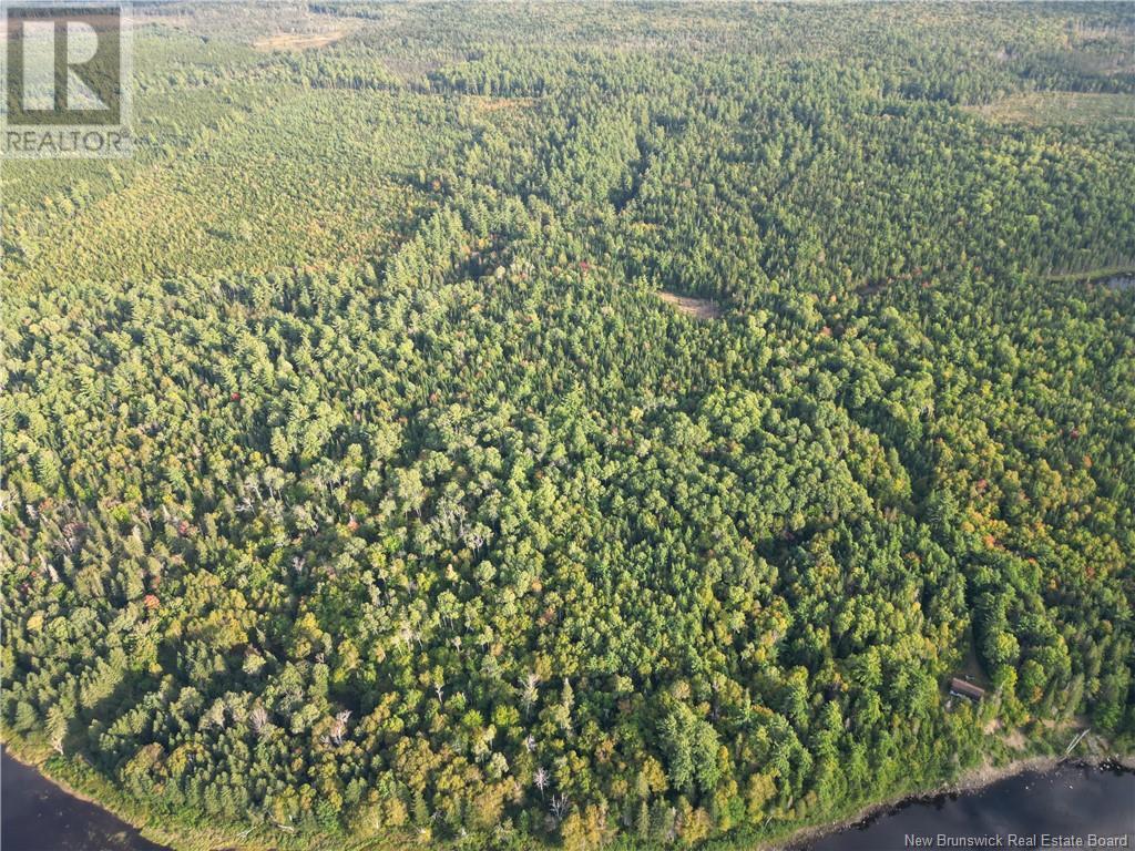 Lot Cains River Road, Cains River, New Brunswick  E9B 2H2 - Photo 6 - NB104322