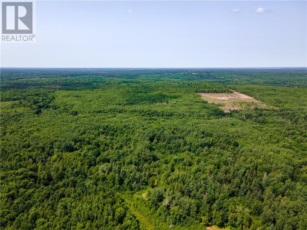 Lot 58 Alexandrina Road, Notre-Dame, New Brunswick  E4H 2H5 - Photo 3 - M161695