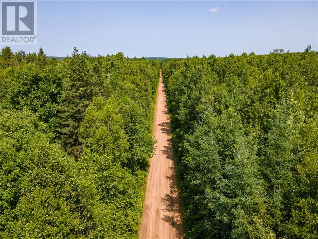 Lot 58 Alexandrina Road, Notre-Dame, New Brunswick  E4H 2H5 - Photo 6 - M161695