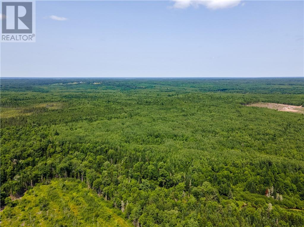 Lot 53 Alexandrina Road, Notre-Dame, New Brunswick  E4H 2H5 - Photo 4 - M161693