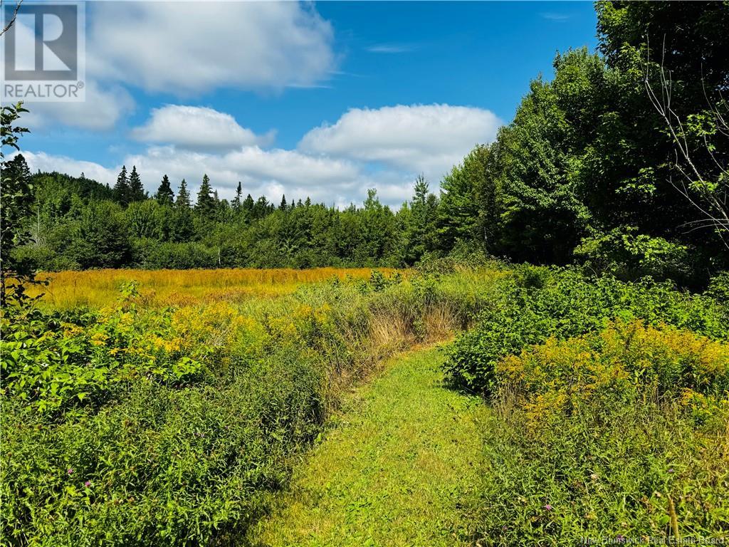 3110 Middle River, Middle River, New Brunswick  E2A 6V6 - Photo 30 - NB104356