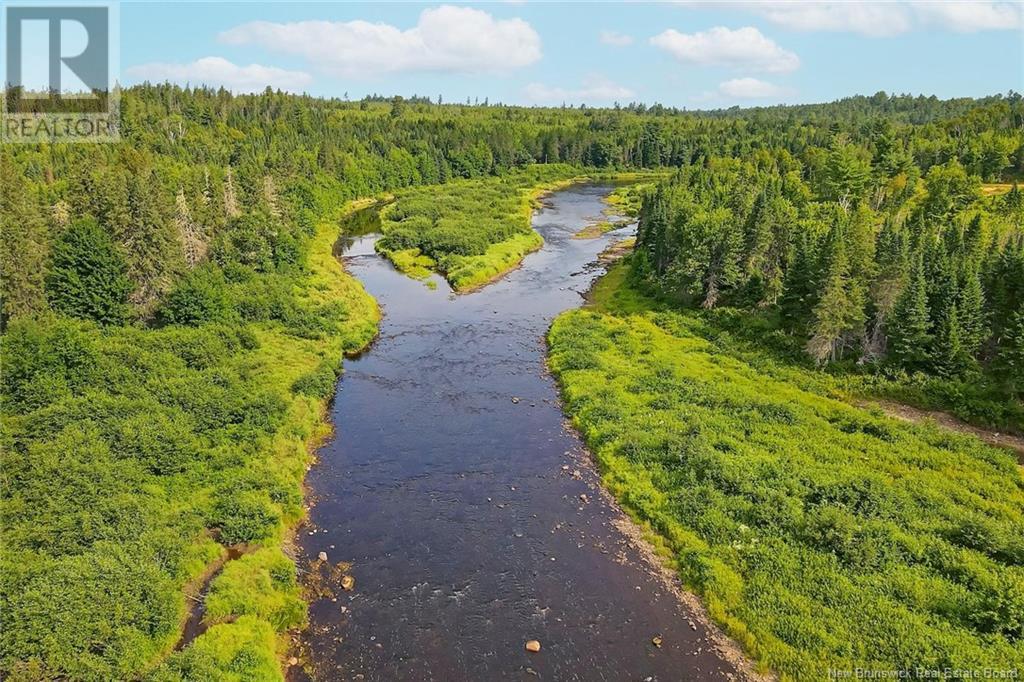 Timberland East Gaspereau Road, Gaspereau Forks, New Brunswick  O0O 0O0 - Photo 14 - NB104388