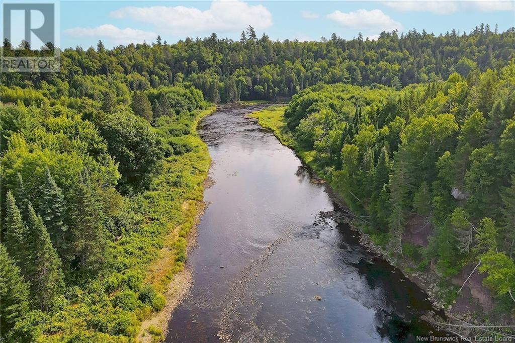 Timberland East Gaspereau Road, Gaspereau Forks, New Brunswick  O0O 0O0 - Photo 15 - NB104388