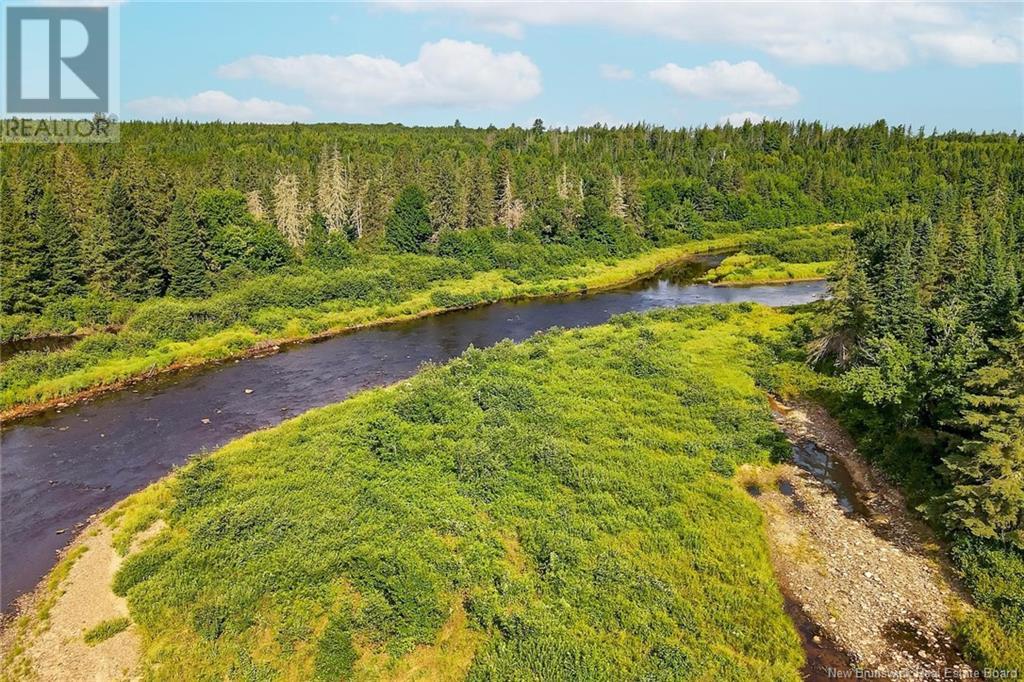 Timberland East Gaspereau Road, Gaspereau Forks, New Brunswick  O0O 0O0 - Photo 20 - NB104388