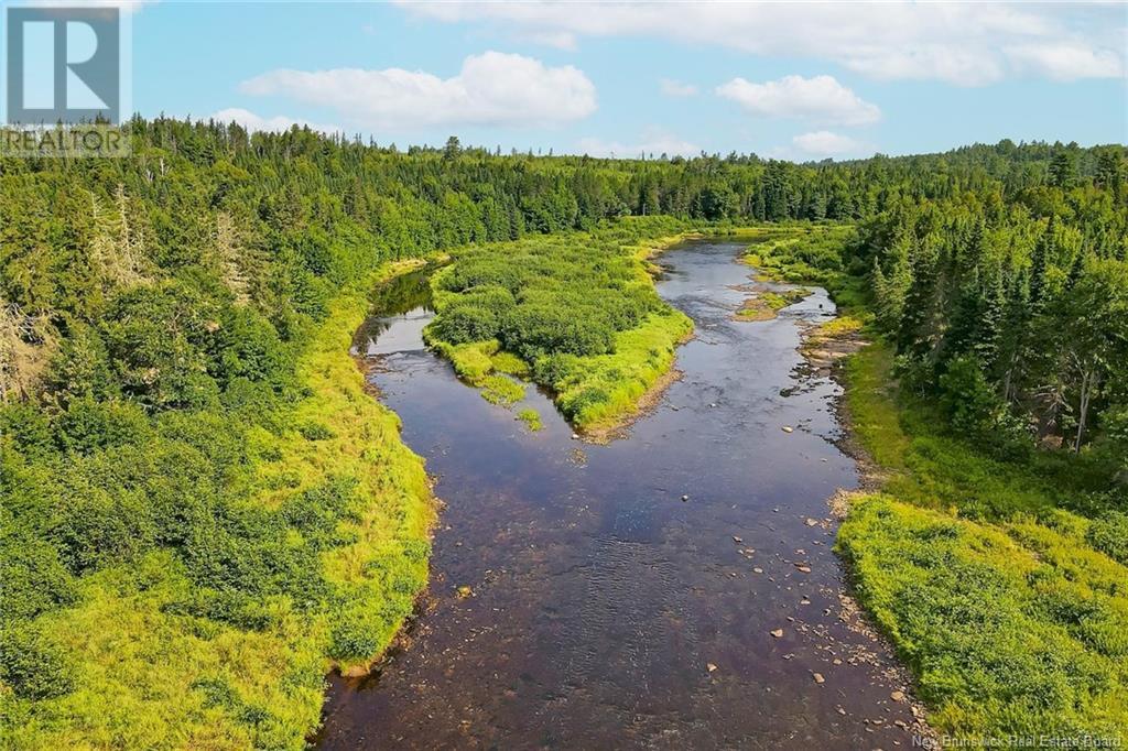 Timberland East Gaspereau Road, Gaspereau Forks, New Brunswick  O0O 0O0 - Photo 21 - NB104388