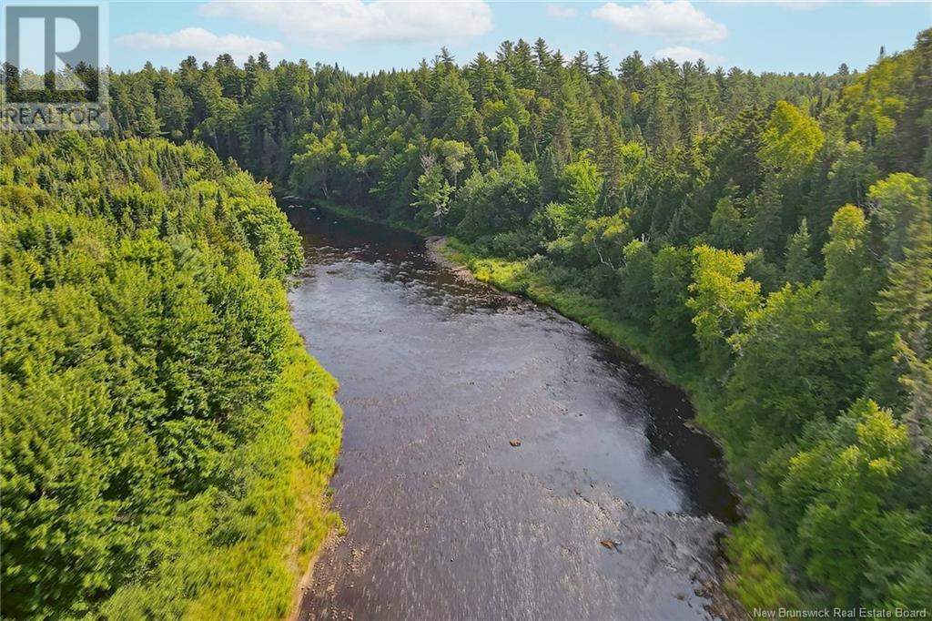 Timberland East Gaspereau Road, Gaspereau Forks, New Brunswick  O0O 0O0 - Photo 25 - NB104388