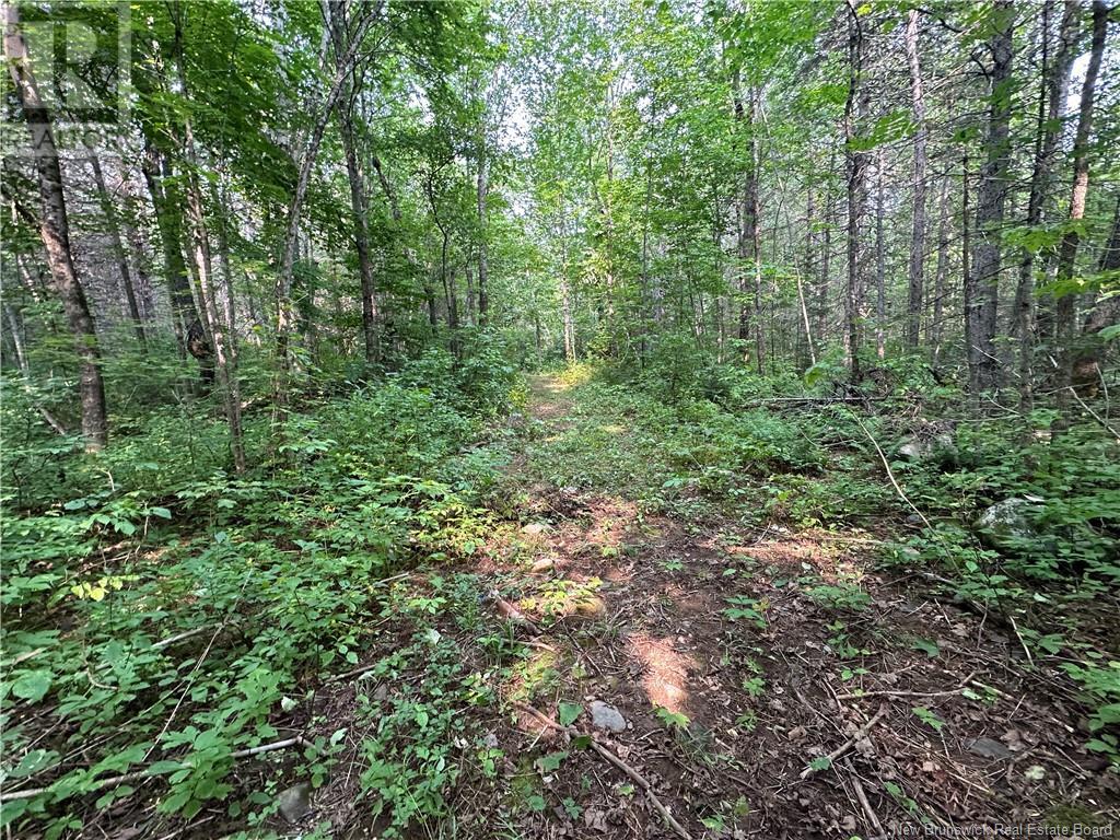 1068 165 Route, Hay Settlement, New Brunswick  E7N 2T8 - Photo 12 - NB104351