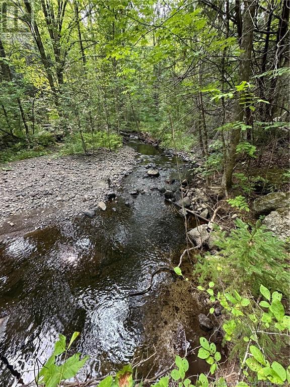 1068 165 Route, Hay Settlement, New Brunswick  E7N 2T8 - Photo 13 - NB104351