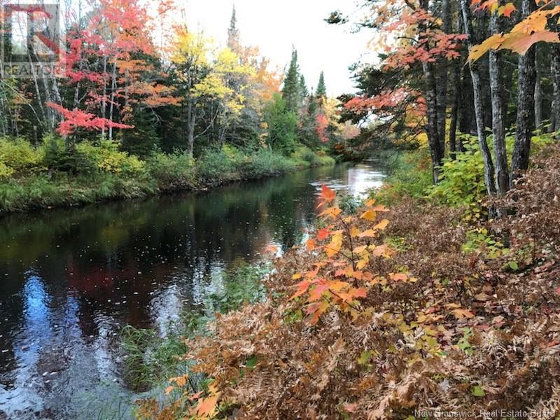 81.5 Acres CH Collette East, collette, New Brunswick