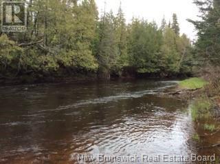 81.5 Acres Ch Collette East, Collette, New Brunswick  E4Y 1H9 - Photo 10 - NB104368