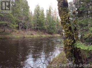 81.5 Acres Ch Collette East, Collette, New Brunswick  E4Y 1H9 - Photo 2 - NB104368