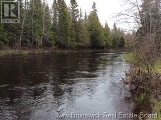 81.5 Acres Ch Collette East, Collette, New Brunswick  E4Y 1H9 - Photo 3 - NB104368