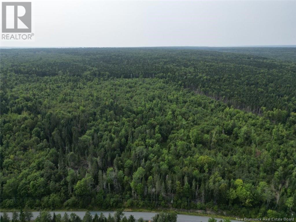 Woodlot Nashwaak West Road, Nashwaak Bridge, New Brunswick  E3B 5E3 - Photo 2 - NB104461