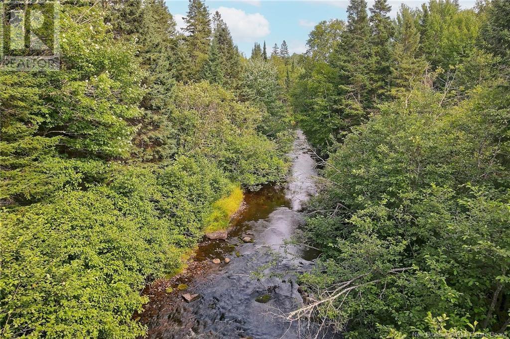 / Nichols Road, Zionville, New Brunswick  E6C 1Y9 - Photo 12 - NB103803