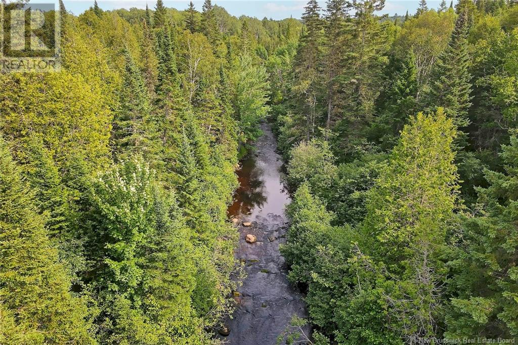 / Nichols Road, Zionville, New Brunswick  E6C 1Y9 - Photo 13 - NB103803