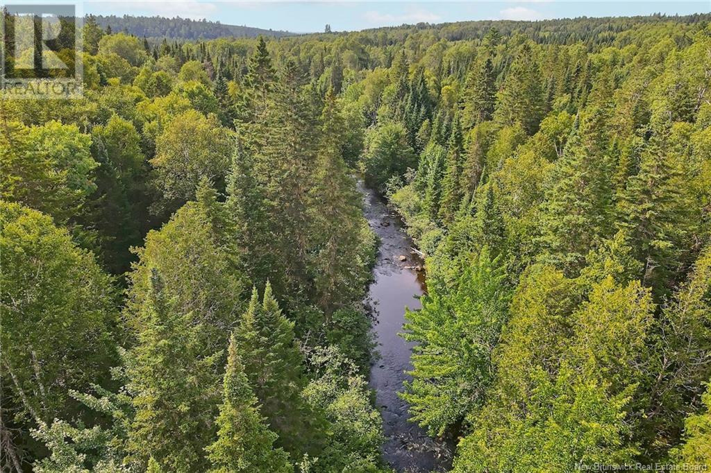 / Nichols Road, Zionville, New Brunswick  E6C 1Y9 - Photo 14 - NB103803