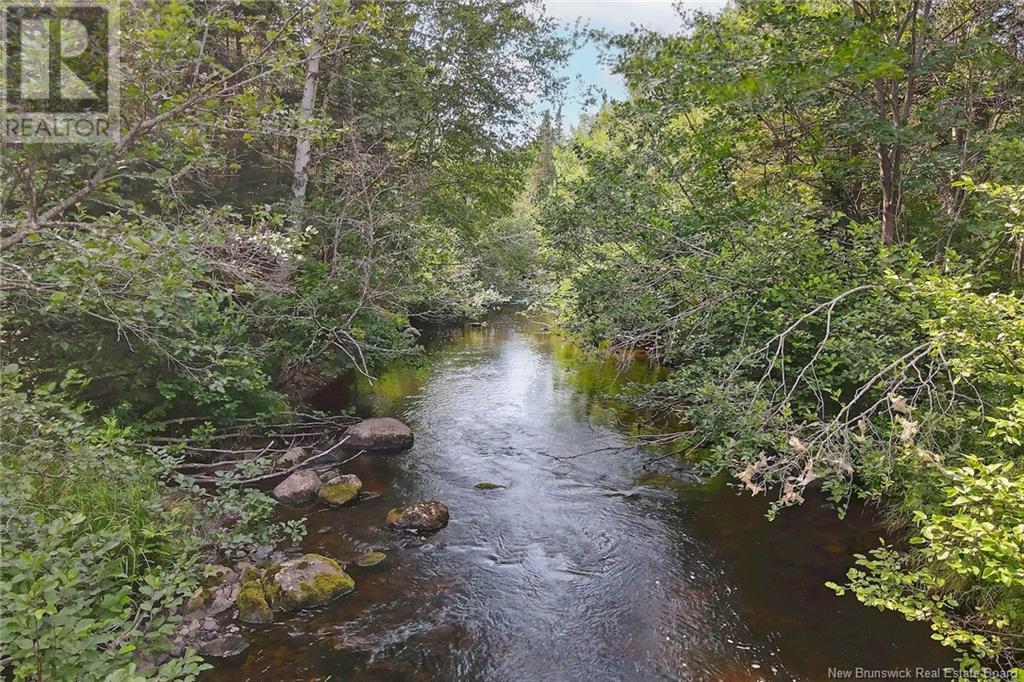 / Nichols Road, Zionville, New Brunswick  E6C 1Y9 - Photo 16 - NB103803