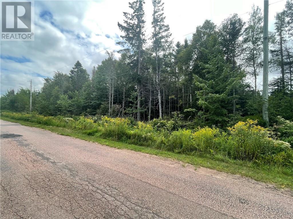 Lot Johnston Point Road, Johnston Point, New Brunswick  E4M 1P4 - Photo 1 - M161797