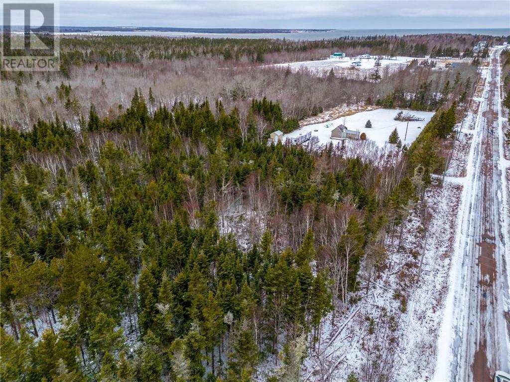 Lot Johnston Point Road, Johnston Point, New Brunswick  E4M 1P4 - Photo 12 - M161797