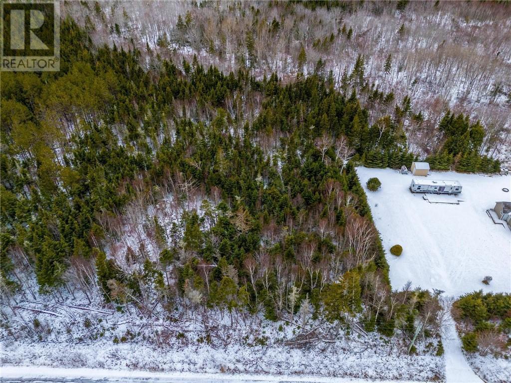 Lot Johnston Point Road, Johnston Point, New Brunswick  E4M 1P4 - Photo 13 - M161797