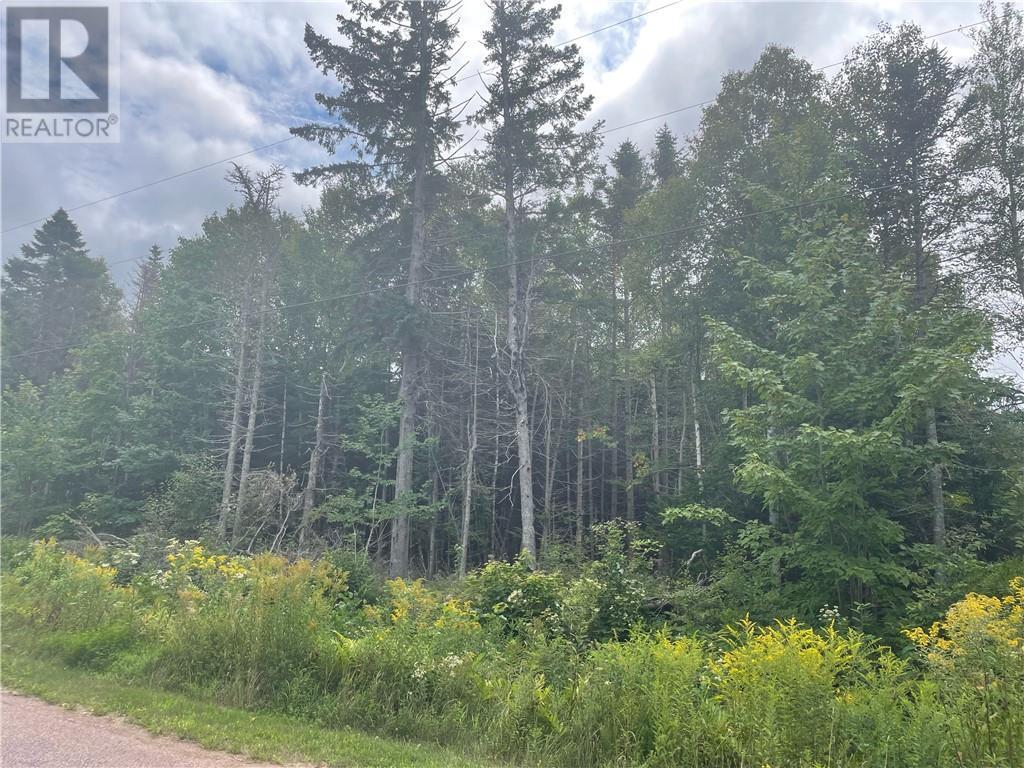 Lot Johnston Point Road, Johnston Point, New Brunswick  E4M 1P4 - Photo 2 - M161797