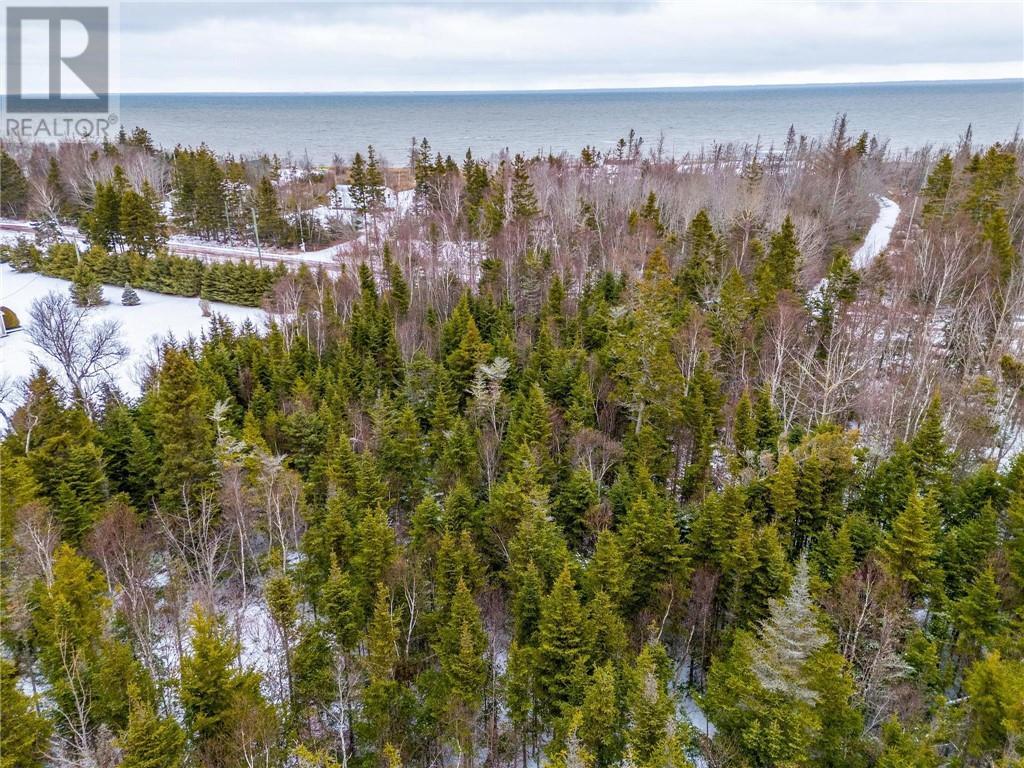 Lot Johnston Point Road, Johnston Point, New Brunswick  E4M 1P4 - Photo 21 - M161797