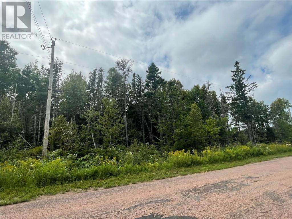 Lot Johnston Point Road, Johnston Point, New Brunswick  E4M 1P4 - Photo 5 - M161797