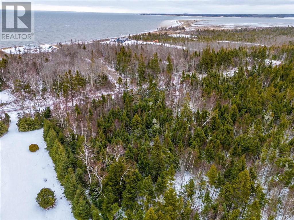 Lot Johnston Point Road, Johnston Point, New Brunswick  E4M 1P4 - Photo 9 - M161797