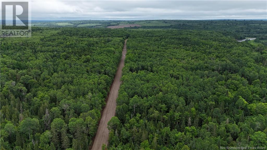 0 Lot Highway 107, Cross Creek Station, New Brunswick  E6C 1S6 - Photo 6 - NB104560