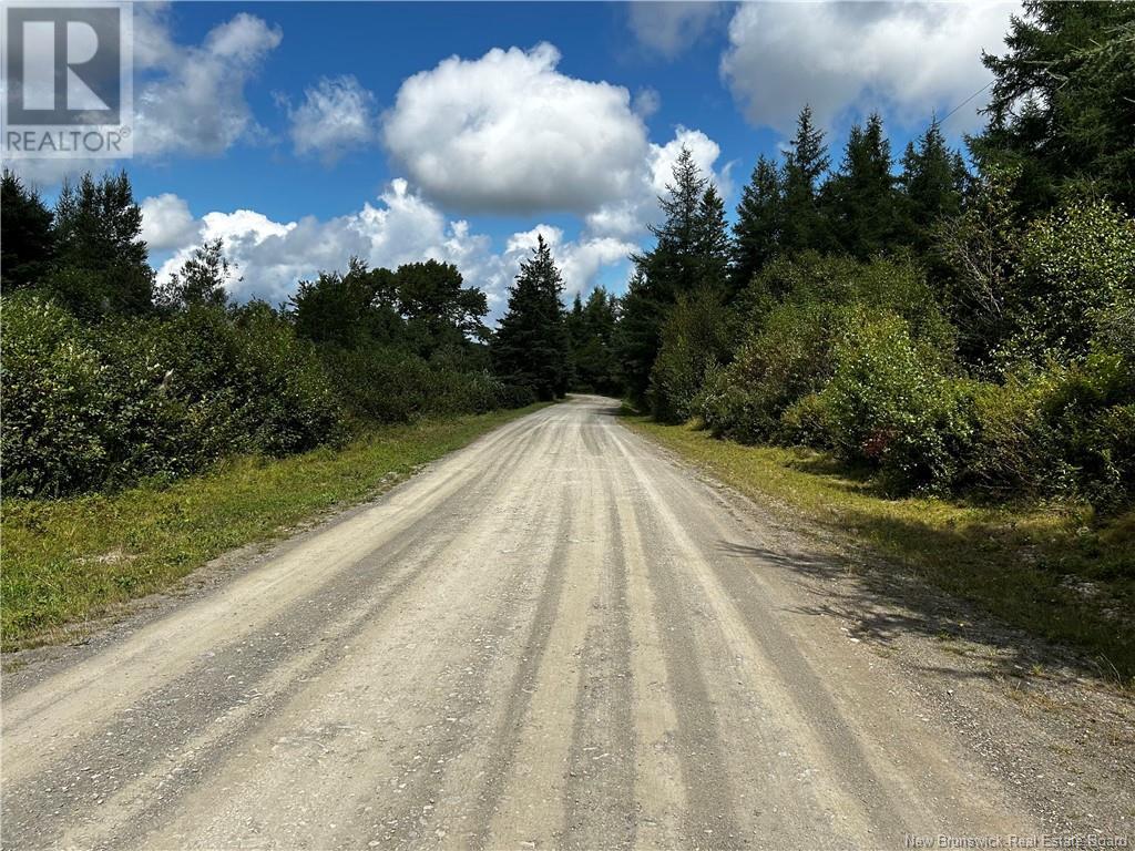 - Damascus Road, Damascus, New Brunswick  E5N 4B1 - Photo 2 - NB104617