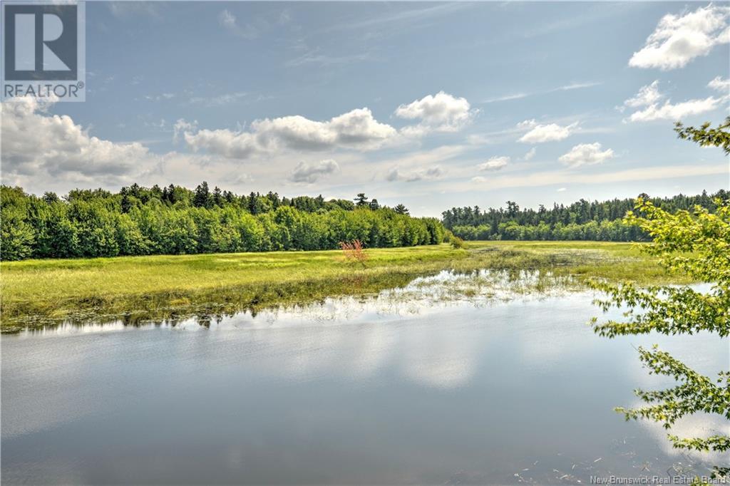 - Starkey Road, Codys, New Brunswick  E4C 1L1 - Photo 12 - NB104563