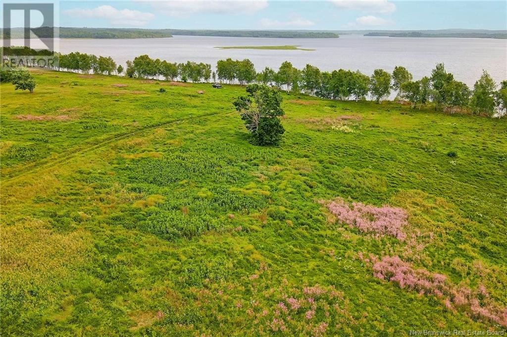 Lot Chapman Road, Newcastle Centre, New Brunswick  O0O 0O0 - Photo 20 - NB104675