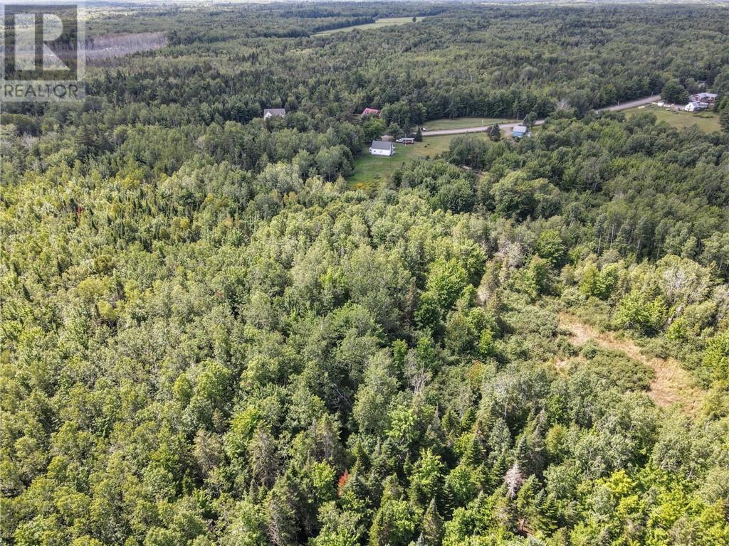 Lot-2 Route 134, Dundas, New Brunswick  E4R 2Z1 - Photo 13 - M161789